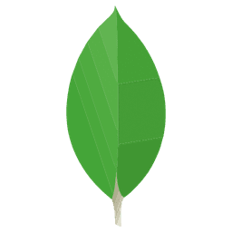 MongoDB icon